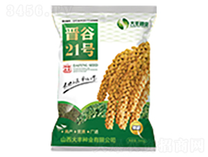 �x��21̖-�����N��-���S�N�I(y��)