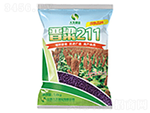 �x��211-�����N��-���S�N�I(y��)