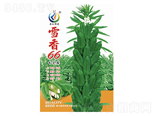 ѩ��66-֥��N��-���ؿƼ�