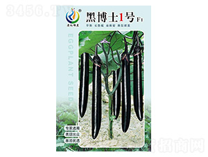 �ڲ�ʿ��̖-���ӷN��-���ؿƼ�