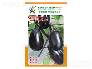 ������-���ӷN��-���ؿƼ�