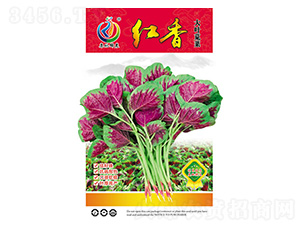 �t��-�{�˷N��-���ؿƼ�