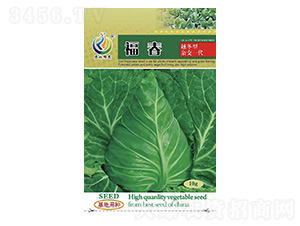 ����-���{(l��n)�N��-���ؿƼ�