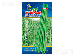 ���v����-�����N��-���ؿƼ�