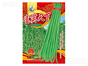 ���v����-�����N��-���ؿƼ�