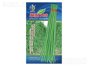 ���198-�����N��-���ؿƼ�