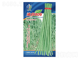 �Ͱ�806-�����N��-���ؿƼ�