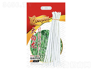 �����-�����N��-���ؿƼ�