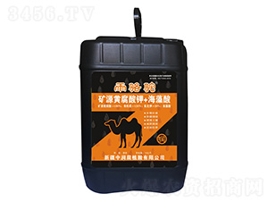 �VԴ�S�����ԭҺ+������-����-�Н�(r��n)��ֲ��