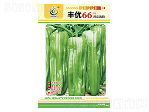 �S��(y��u)66-�����N��-���ؿƼ�