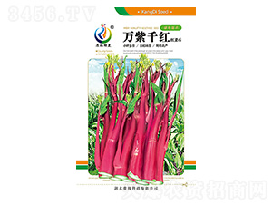 �f��ǧ�t-��޷�N��-���ؿƼ�