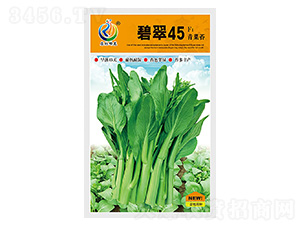 �̴�45-��޷�N��-���ؿƼ�