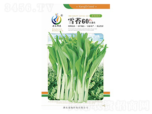 ѩ̦60-��޷�N��-���ؿƼ�