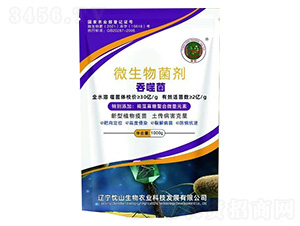 ���ɾ�΢�������-��ɽ����