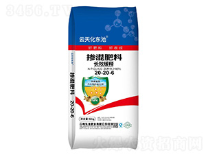 �\�����͓������20-20-6-�|�طʘI(y��)