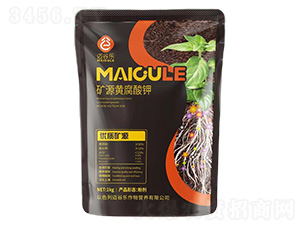 �VԴ�S�����-�~�Ș�