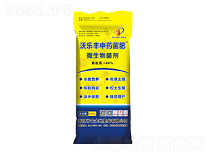 ΢�������-�֘��S��ˎ����-���طʘI(y��)