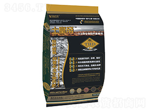 ��������ն����℩-���_��