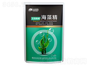 ���徫-���_��