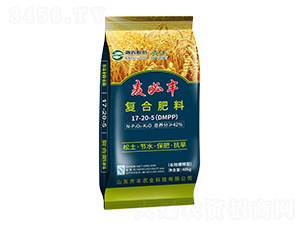 �L(zh��ng)Ч����͏�(f��)�Ϸ���17-20-5-�����S-�R�S�r(n��ng)�I(y��)