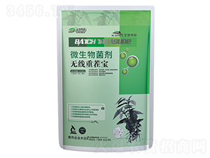 �o���ز猚΢�������-���_��