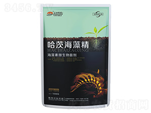 ���ĺ��徫-������΢�������-���_��