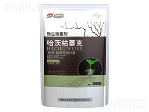 ���Ŀ�ή��-΢�������-���_��