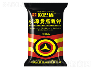 �VԴ�S�����-�W�Ͷ�-�½��о�