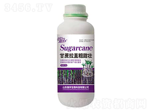 ������ֱ������-�������