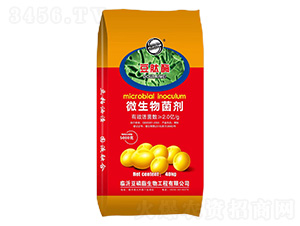 ����ø΢�������-��������