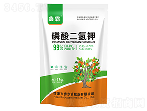 ��������-�ΰ�-���ZԴ