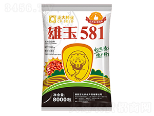 ����581-���׷N��-����N�I(y��)