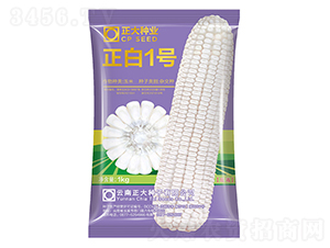 ����1̖-���׷N��-����N�I(y��)