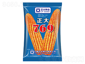 ����769-���׷N��-����N�I(y��)