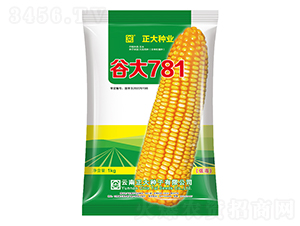 �ȴ�781-���׷N��-����N�I(y��)