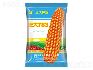 ����783-���׷N��-����N�I(y��)