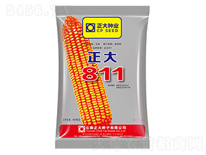 ����811-���׷N��-����N�I(y��)