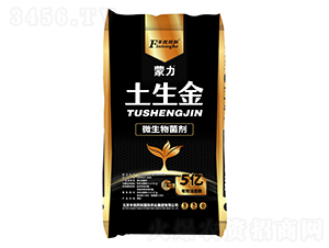 ����������΢�������-�͝��r�I(y��)