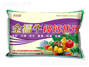 ��ţ��}��Ԫ-�͝��r(n��ng)�I(y��)