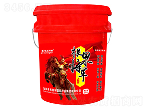 ������܊-�͝��r(n��ng)�I(y��)