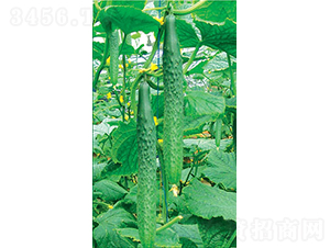 �ɶ����O��-�S�ϷN��-�͝��r(n��ng)�I(y��)