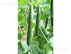 �f�_C19-�S�ϷN��-�͝��r(n��ng)�I(y��)