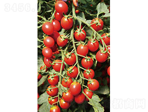 �hķ1507-���ѷN��-�͝��r(n��ng)�I(y��)