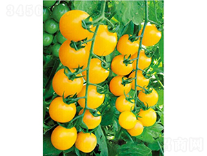 1502-���ѷN��-�͝�(r��n)�r(n��ng)�I(y��)