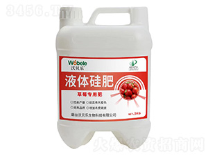 ��ݮ����Һ�w���-��ؐ��