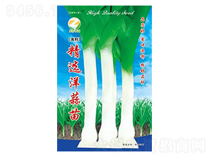 ���x������-�����r(n��ng)�I(y��)