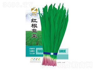 �t���²�-ǭ�Z-�����r(n��ng)�I(y��)