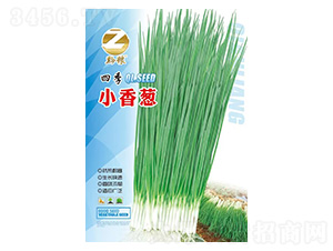 �ļ�С���[-ǭ�Z-�����r(n��ng)�I(y��)