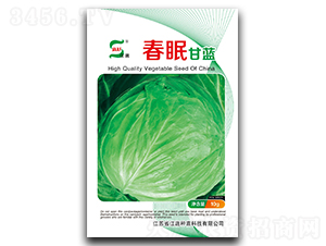 ���߸��{(l��n)-���{(l��n)�N��-���A�N�I(y��)