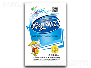 ����9023-С���N��-���A�N�I(y��)